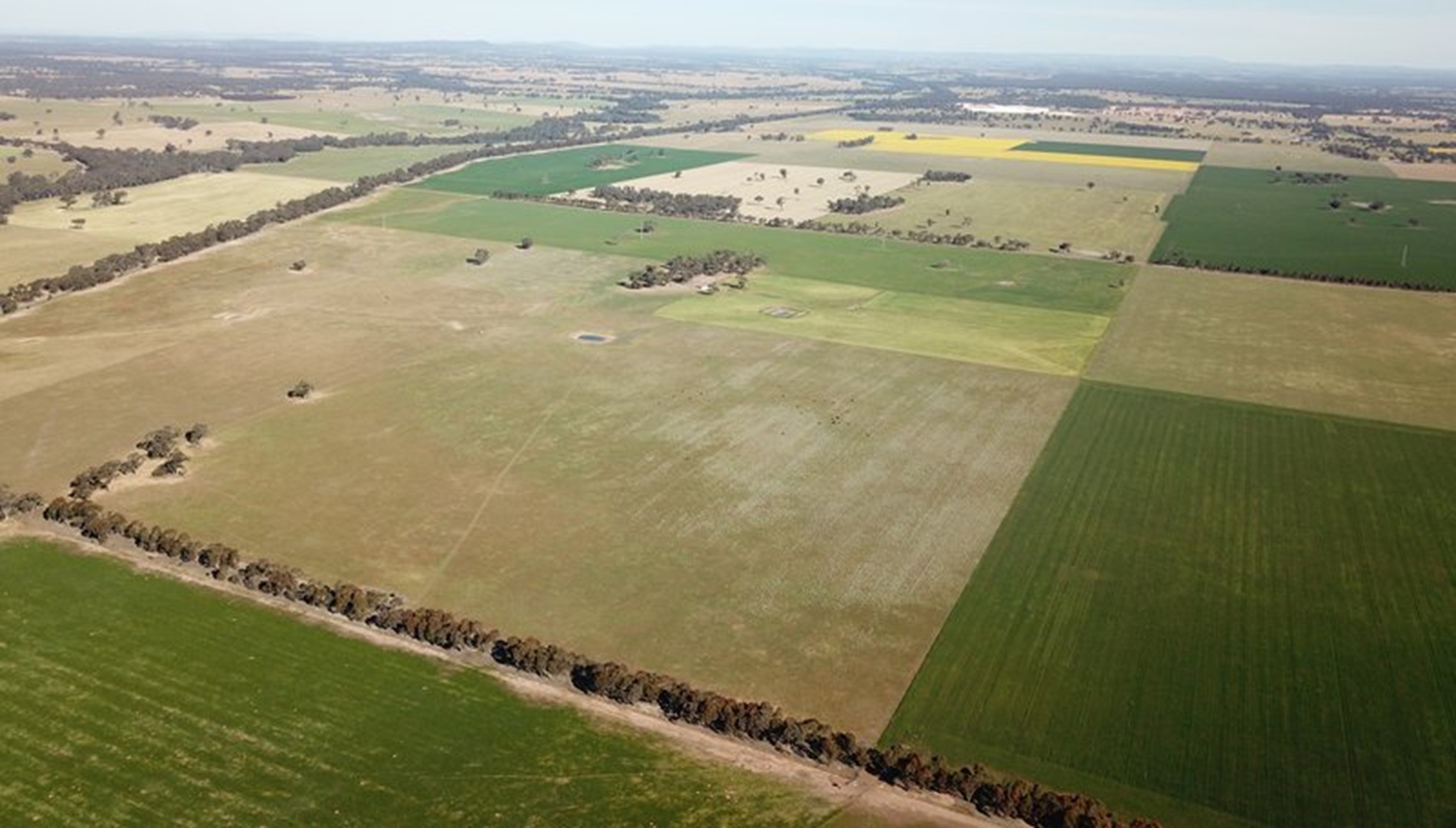 Axedale Solar Farm